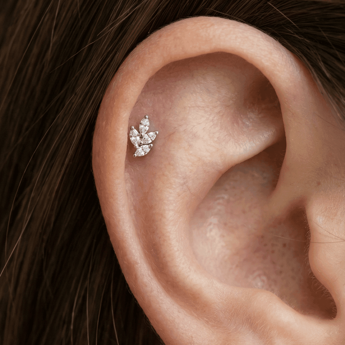 Piercing Mini Ramo Folheado Helix Tragus Orelha Cartilagem